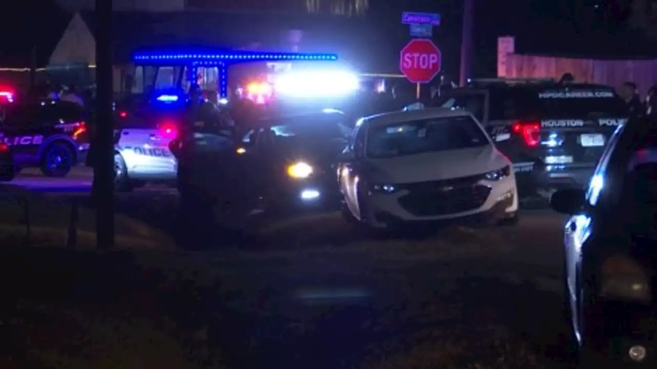 Felony standoff in Houston ends with police leaving due to unruly crowd