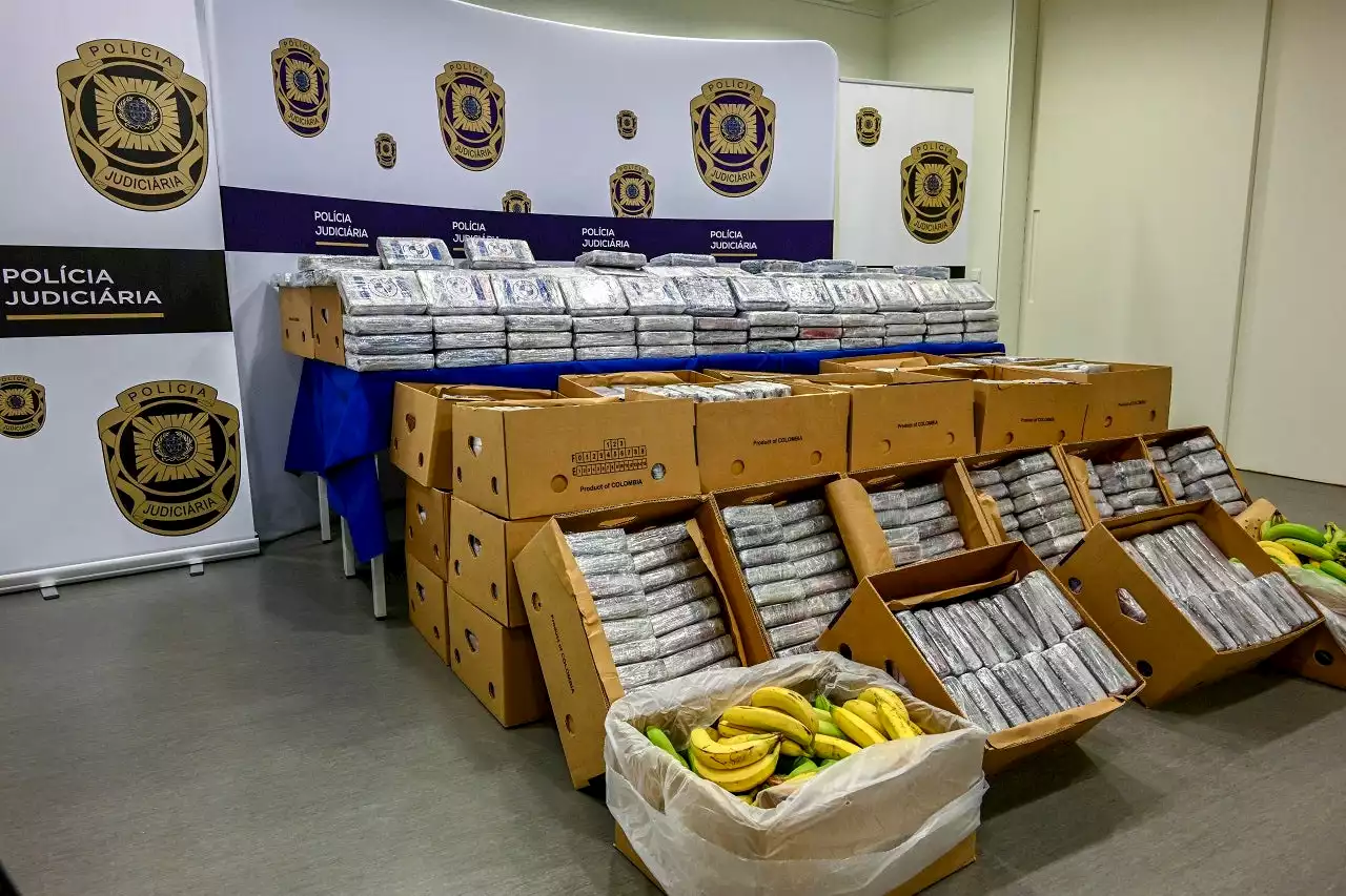 Cartels exploit banana trade to smuggle cocaine from Latin America: report