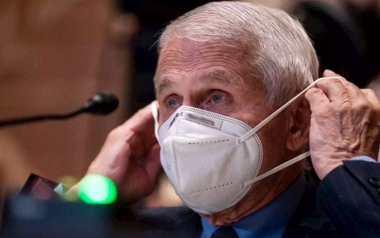 Fauci ‘concerned’ people won’t comply if masking recommendations return: 'I hope' they 'abide'