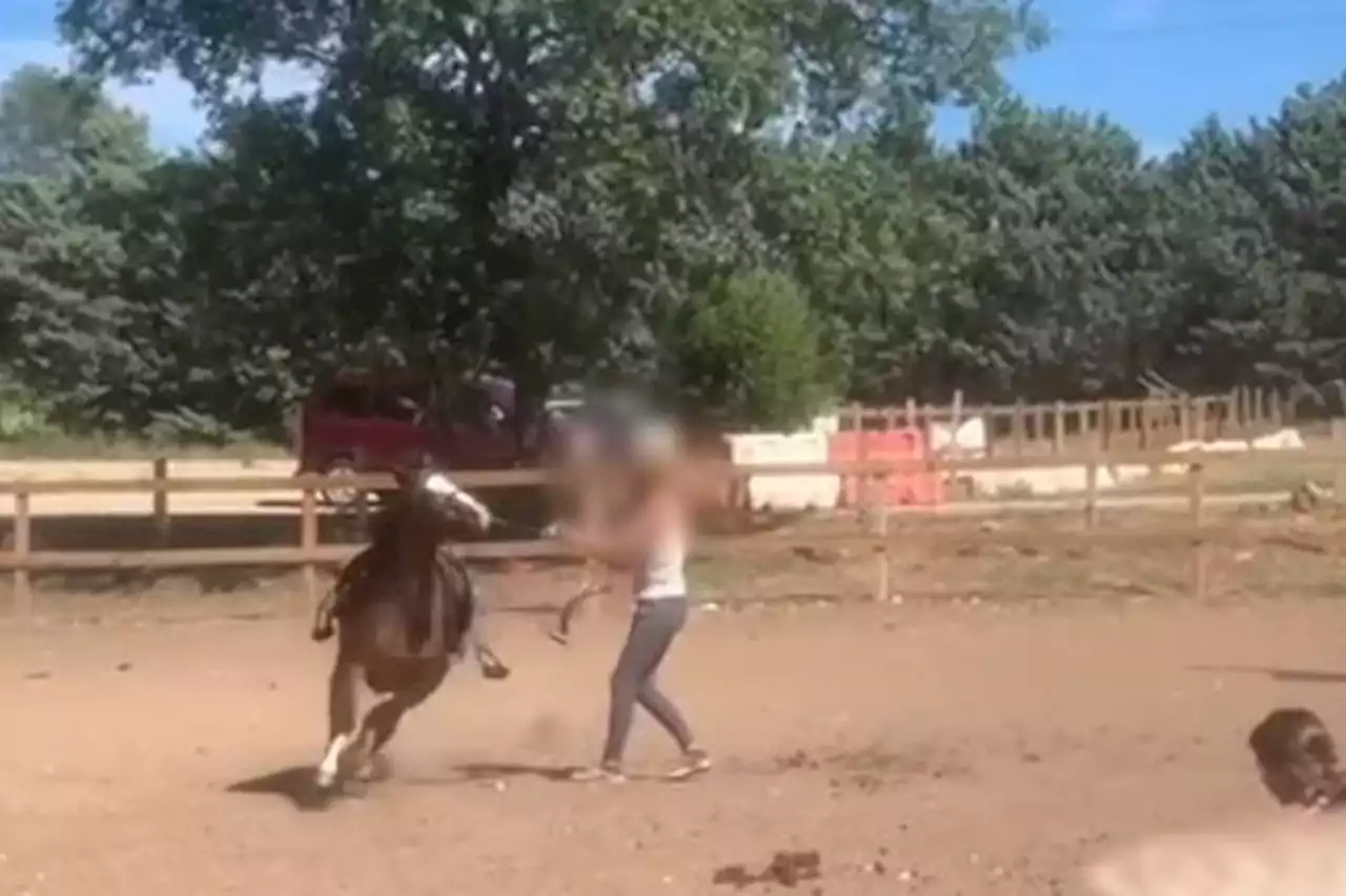 Les images d'un poney frappé dans un centre équestre du Var font polémique