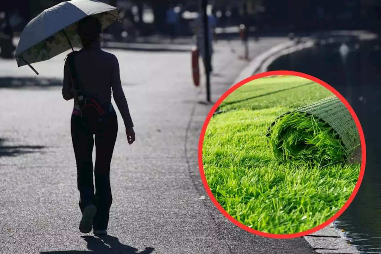 Homeowners urged to take these artificial grass precautions amid burn warning