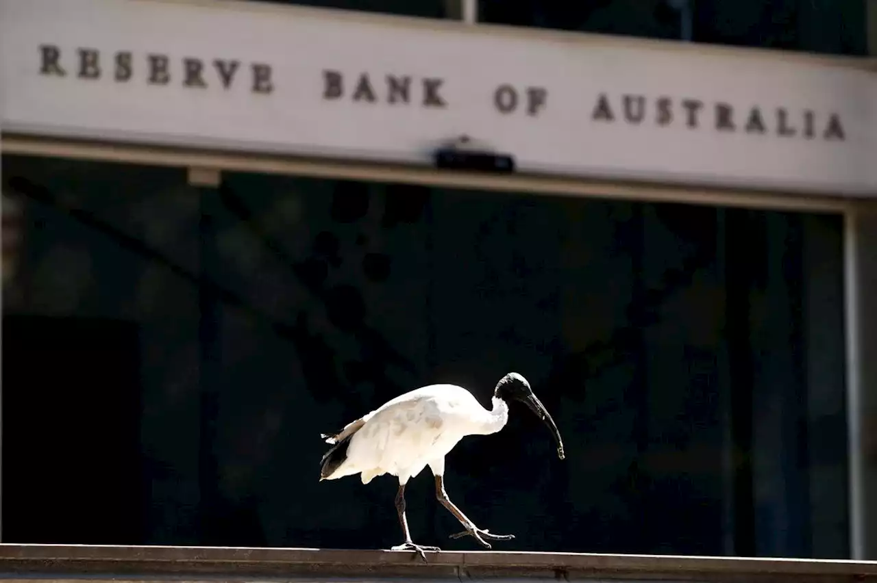 Australia’s central bank keeps interest rates steady as markets bet tightening cycle over