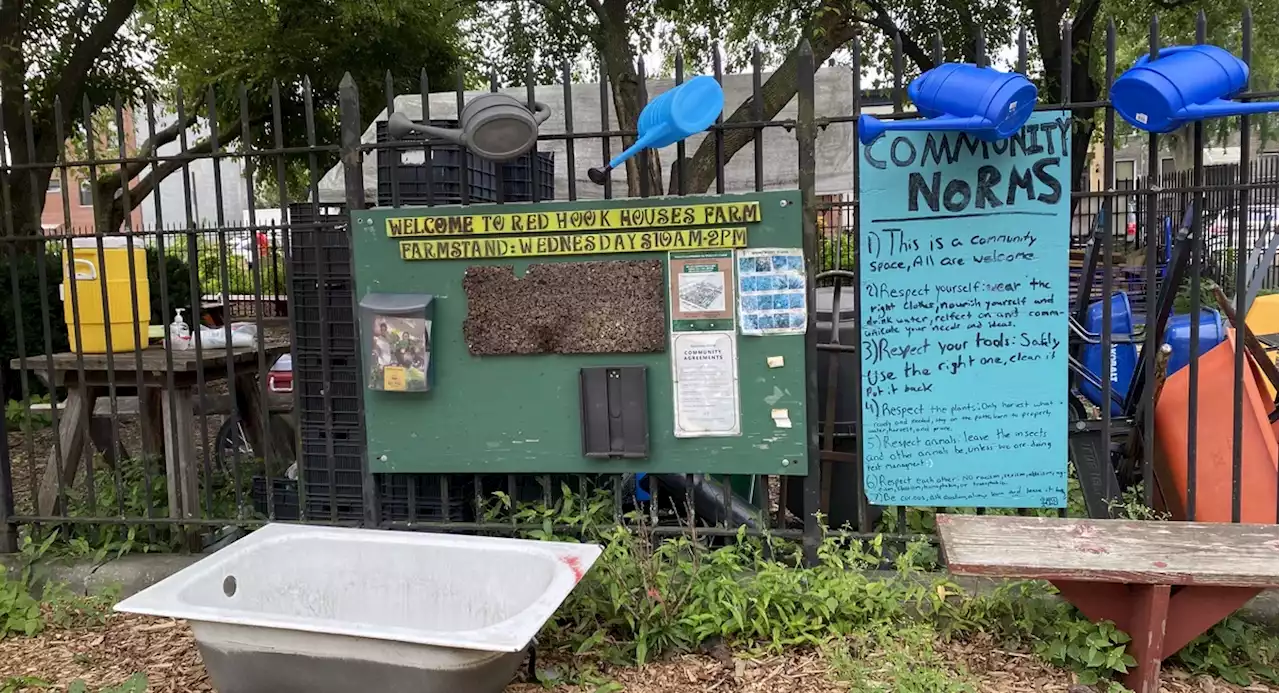 Here’s how New Yorkers can join their community gardens