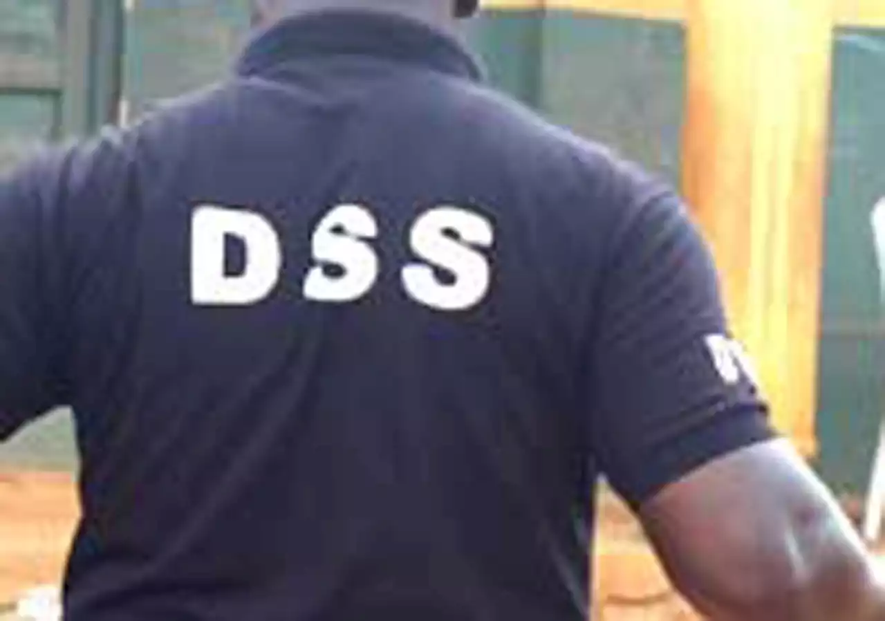 DSS arrests suspects over diversion of palliatives | The Guardian Nigeria News