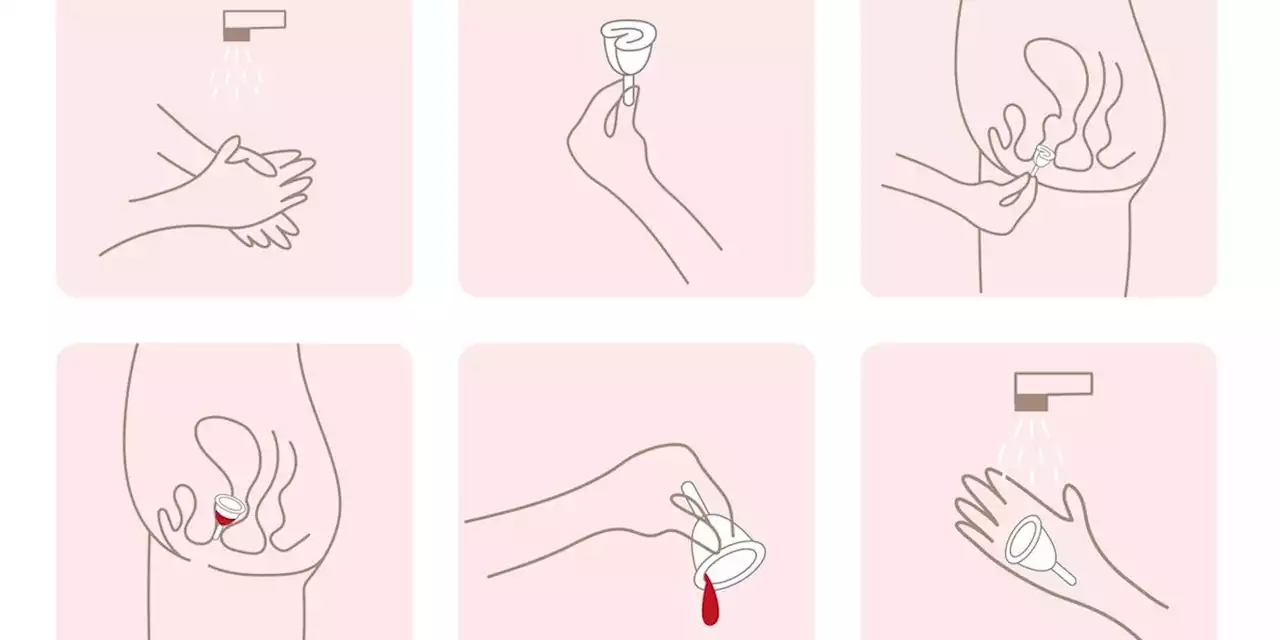 Wondering What a Menstrual Cup Is and How You Use One?