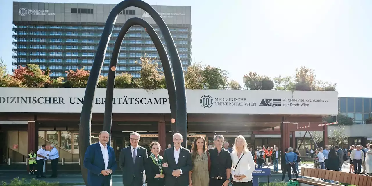 Corona-Denkmal steht nun in Wien vor Krankenhaus