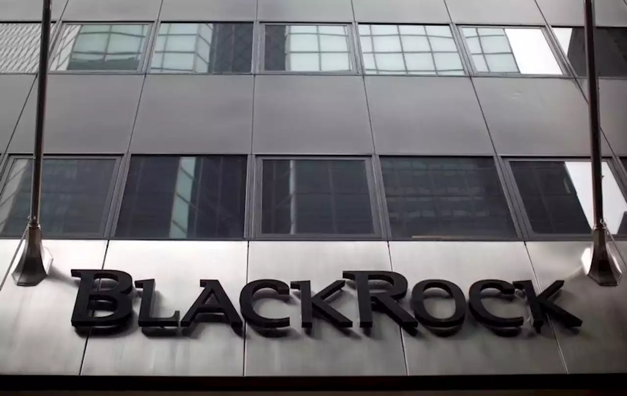 BlackRock trims government bonds underweight, more cautious on credit By Reuters