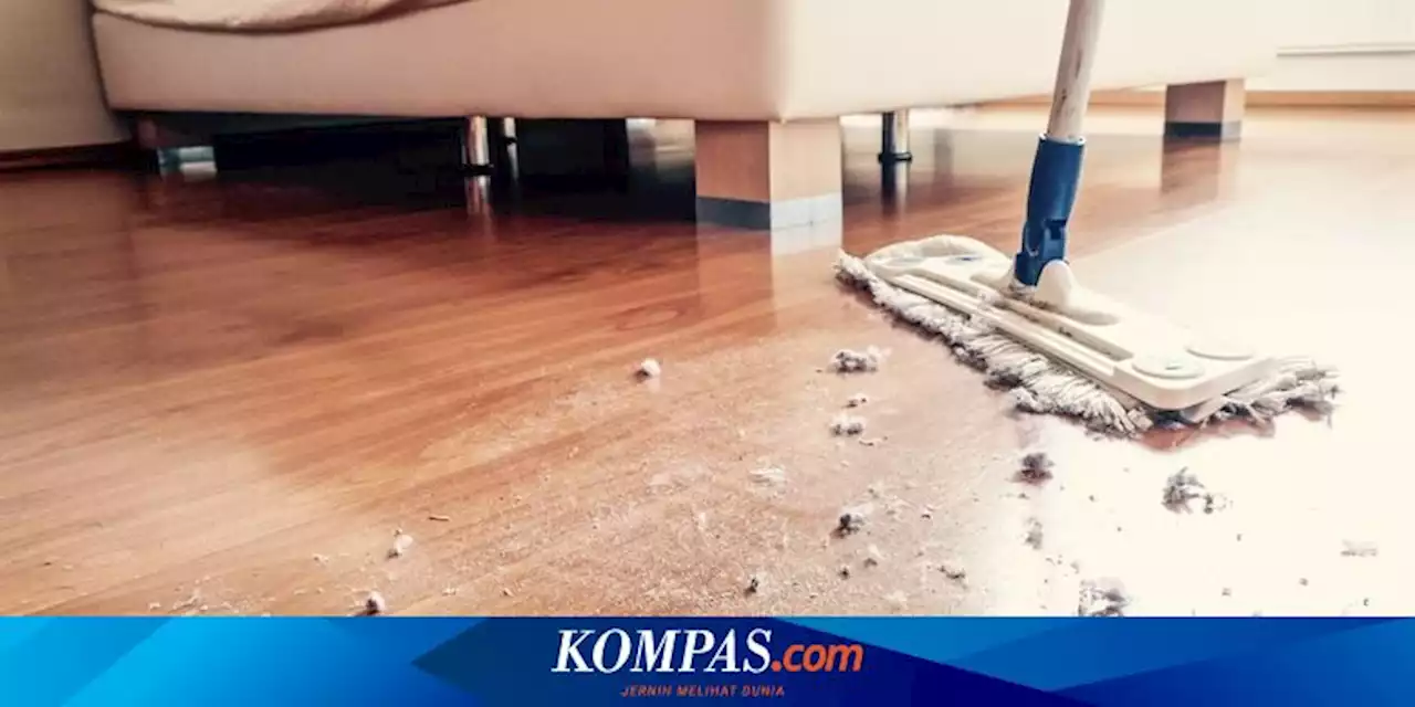 7 Cara Mengurangi Debu di Dalam Rumah, Bikin Sehat dan Bersih