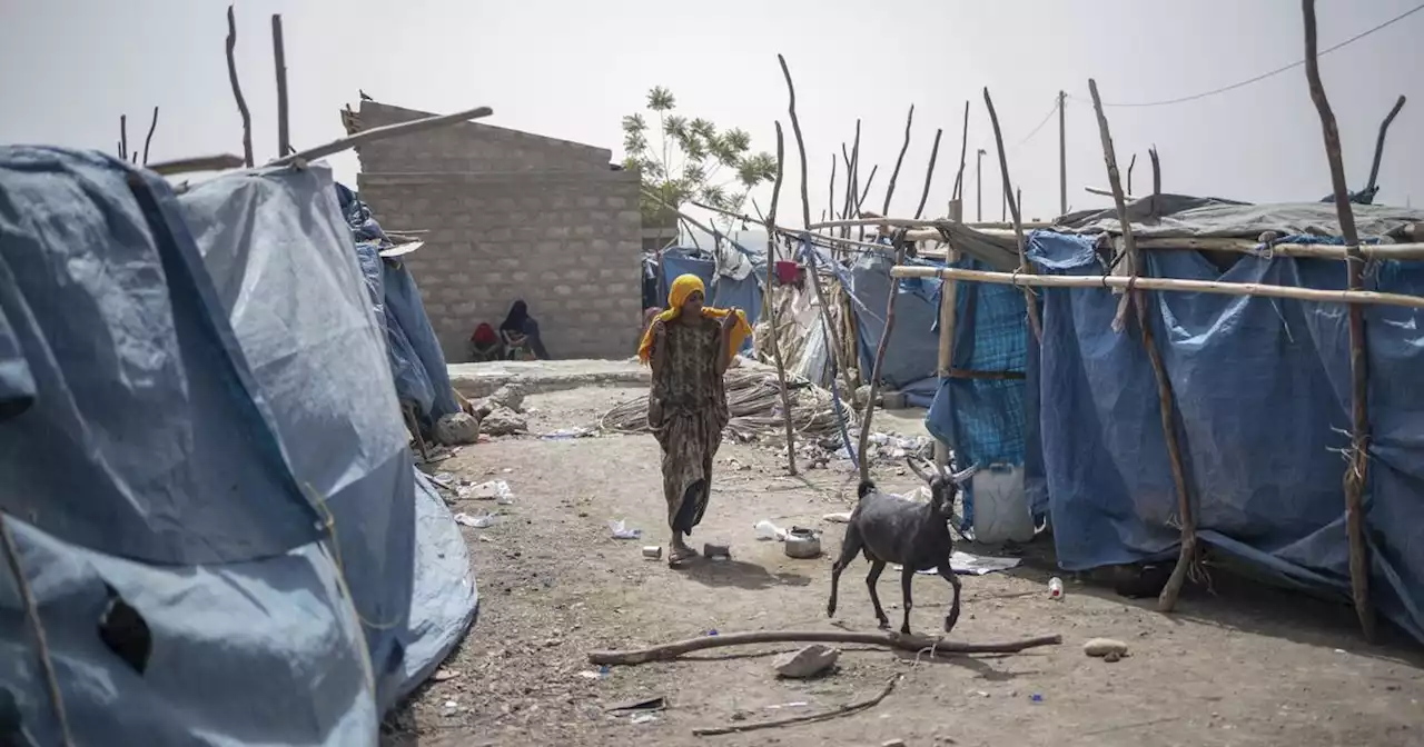 Éthiopie : l'armée d'Érythrée a commis des atrocités au Tigré après l'accord de paix, selon Amnesty