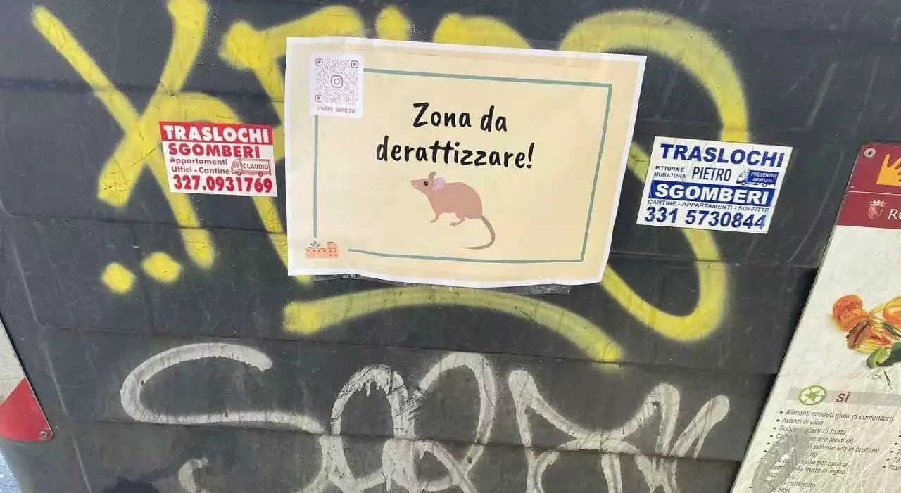 Marconi, rivolta contro i topi: «Sono ovunque, in fioriere e cassonetti»