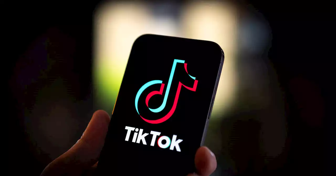 Chine-Irlande, le long voyage des bases de données de TikTok pour rassurer l’Europe