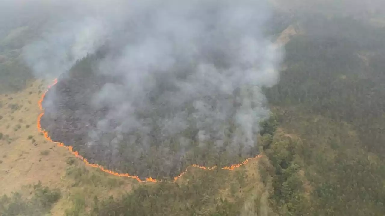 Sejumlah Wisata Alam di Kawasan Tahura R Soerjo Ditutup Dampak Kabakaran Hutan di Gunung Arjuno