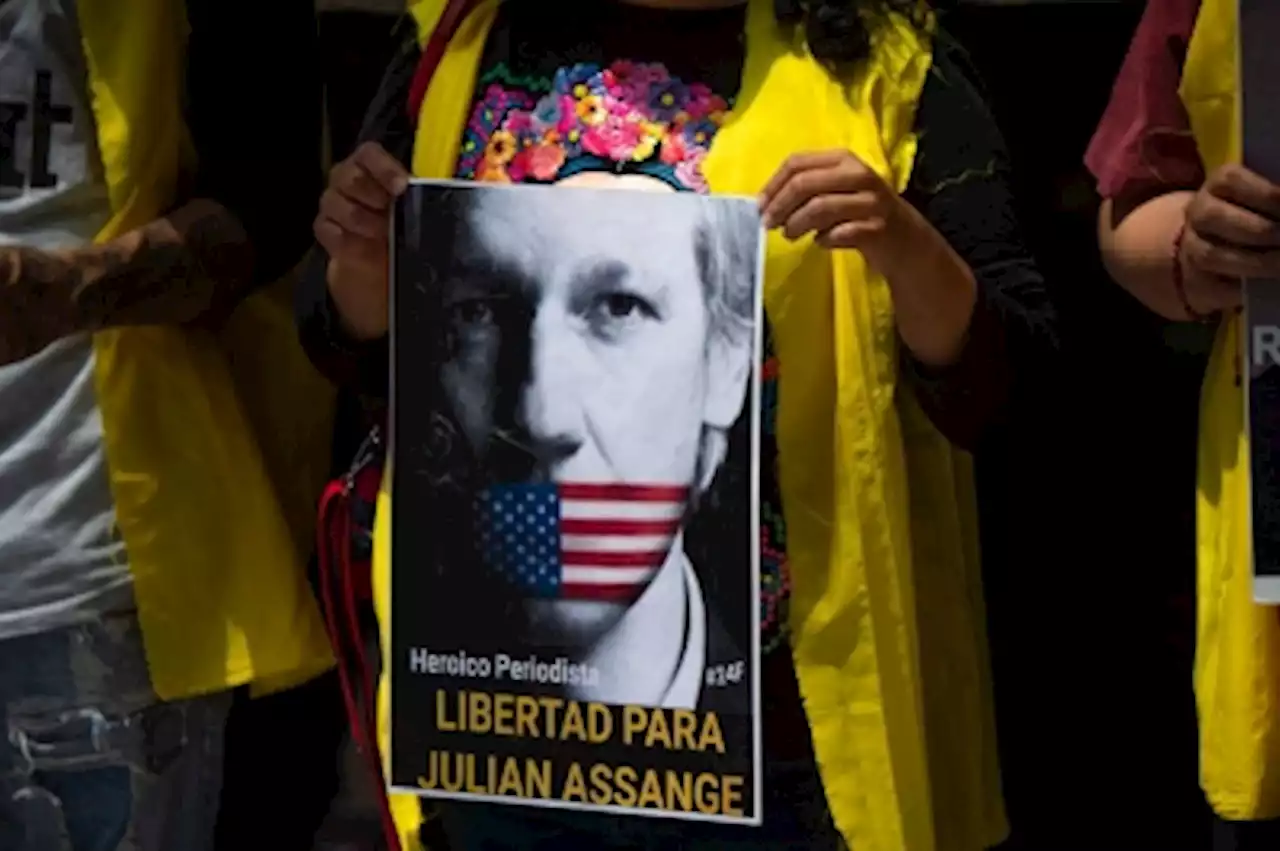 Australian lawmakers to urge release of Julian Assange during US visit