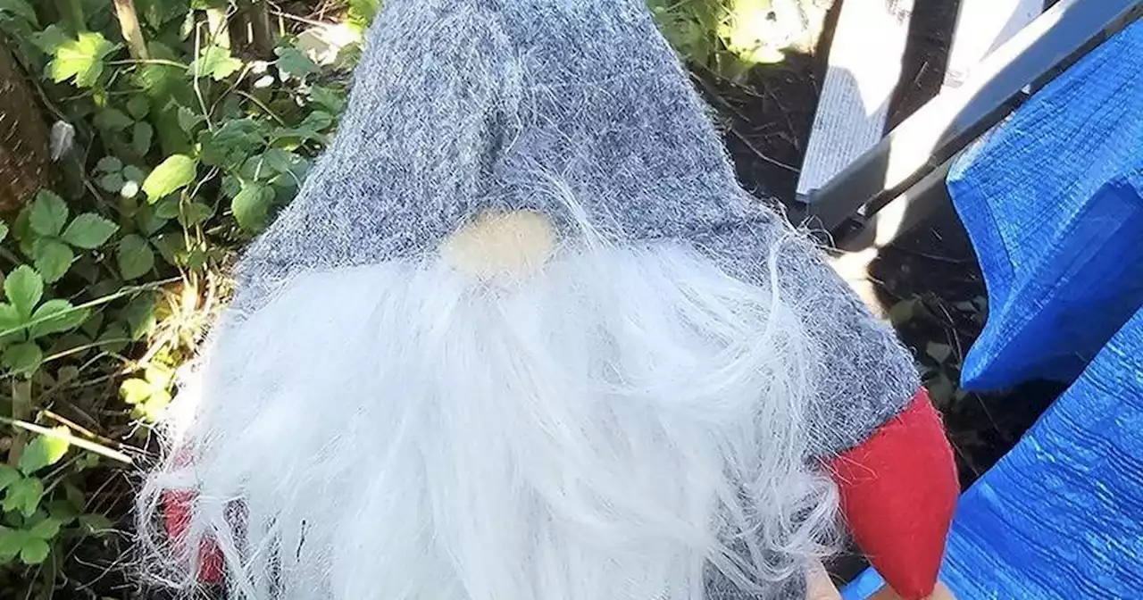 Police issue warning as mysterious Christmas gnomes appear in gardens