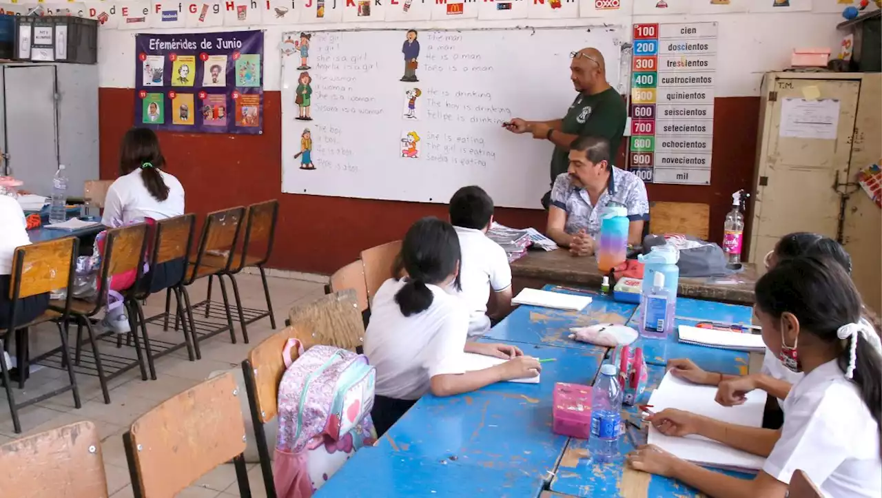 Saturadas, alrededor de 130 escuelas en La Laguna