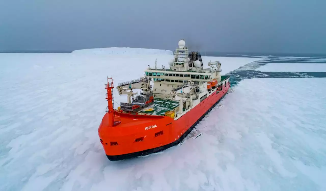 Forscher erkrankt in der Antarktis – Rettungsmission gestartet