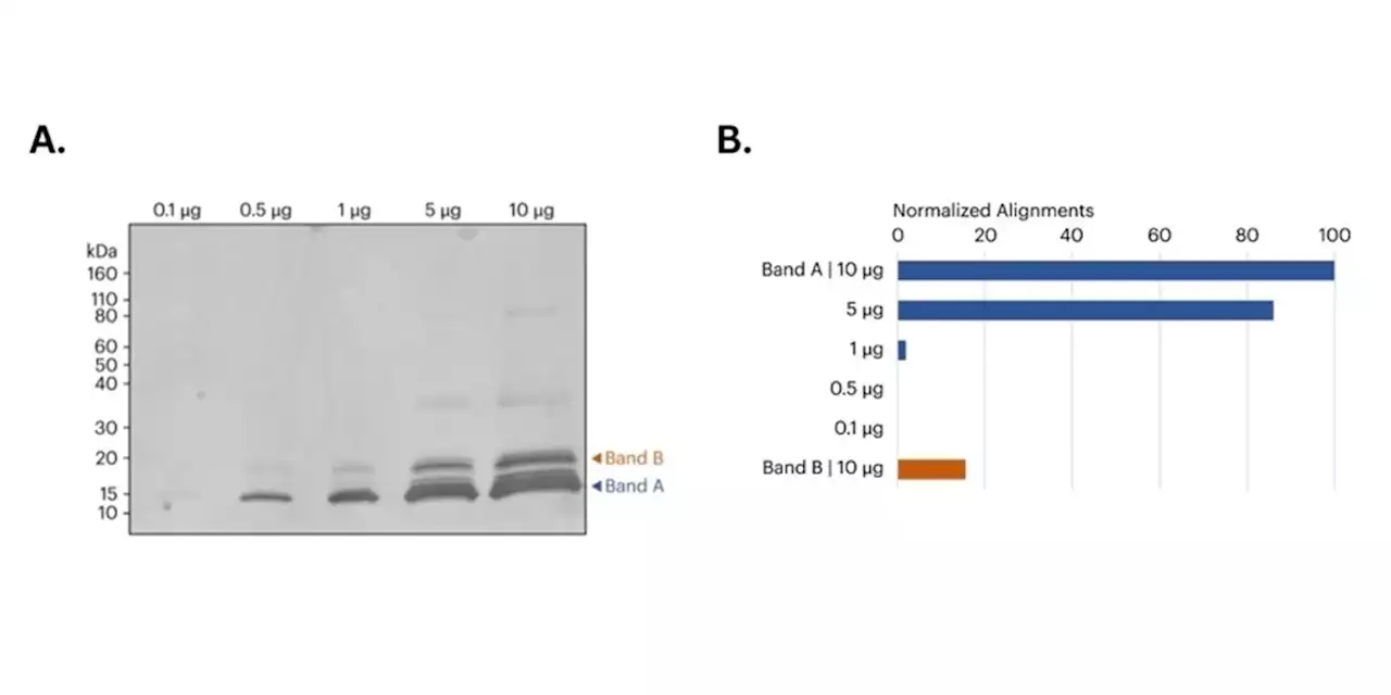 How is next-generation protein sequencing democratizing protein sequencing?