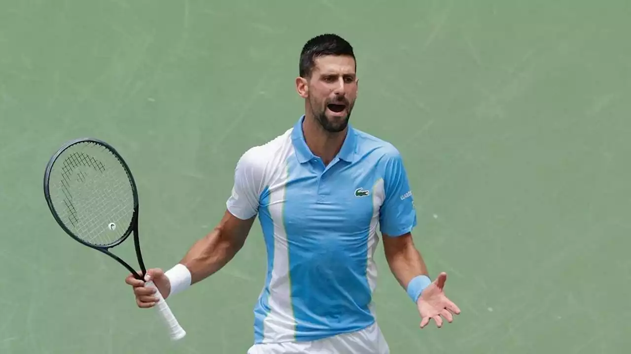 US Open. Novak Djokovic se qualifie facilement pour les demi-finales en battant Taylor Fritz