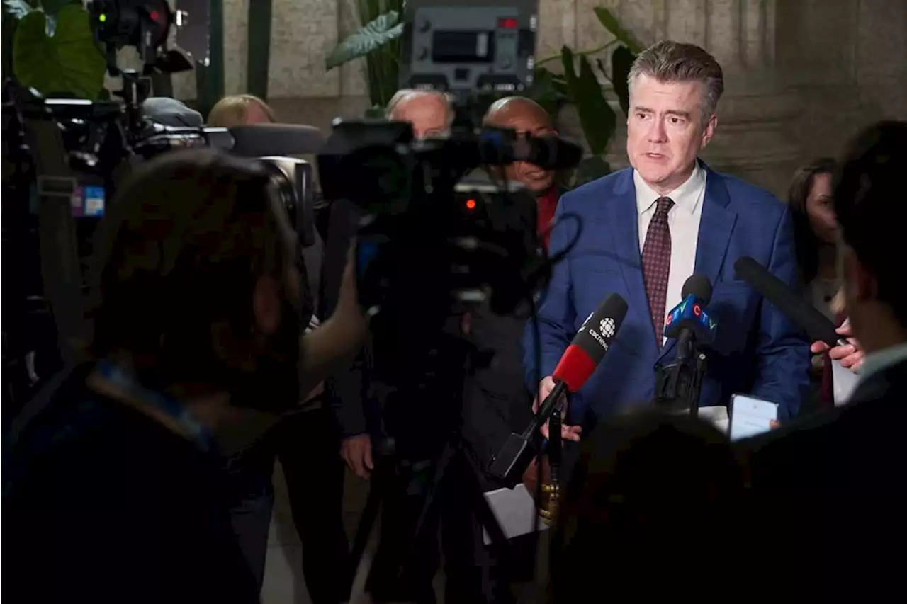 A profile of Dougald Lamont, leader of the Manitoba Liberal party since 2018