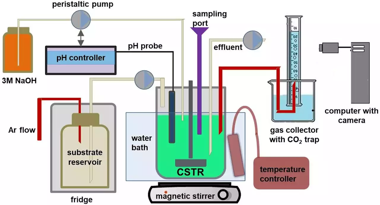 Fermentation processes for the production of biohydrogen as an alternative energy carrier