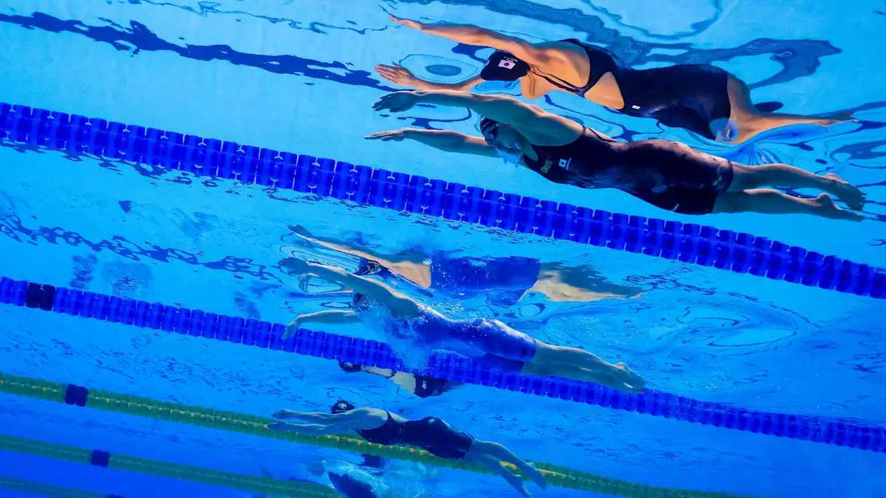 Natation: la Fédération internationale autorise les nageurs russes et biélorusses à concourir sous bannière neutre