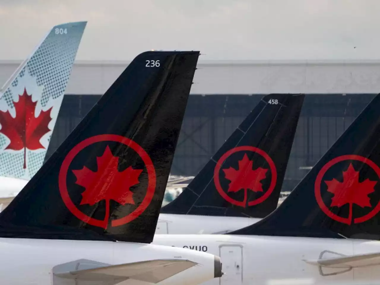 Air Canada apologizes after women kicked off flight for refusing vomit-covered seats