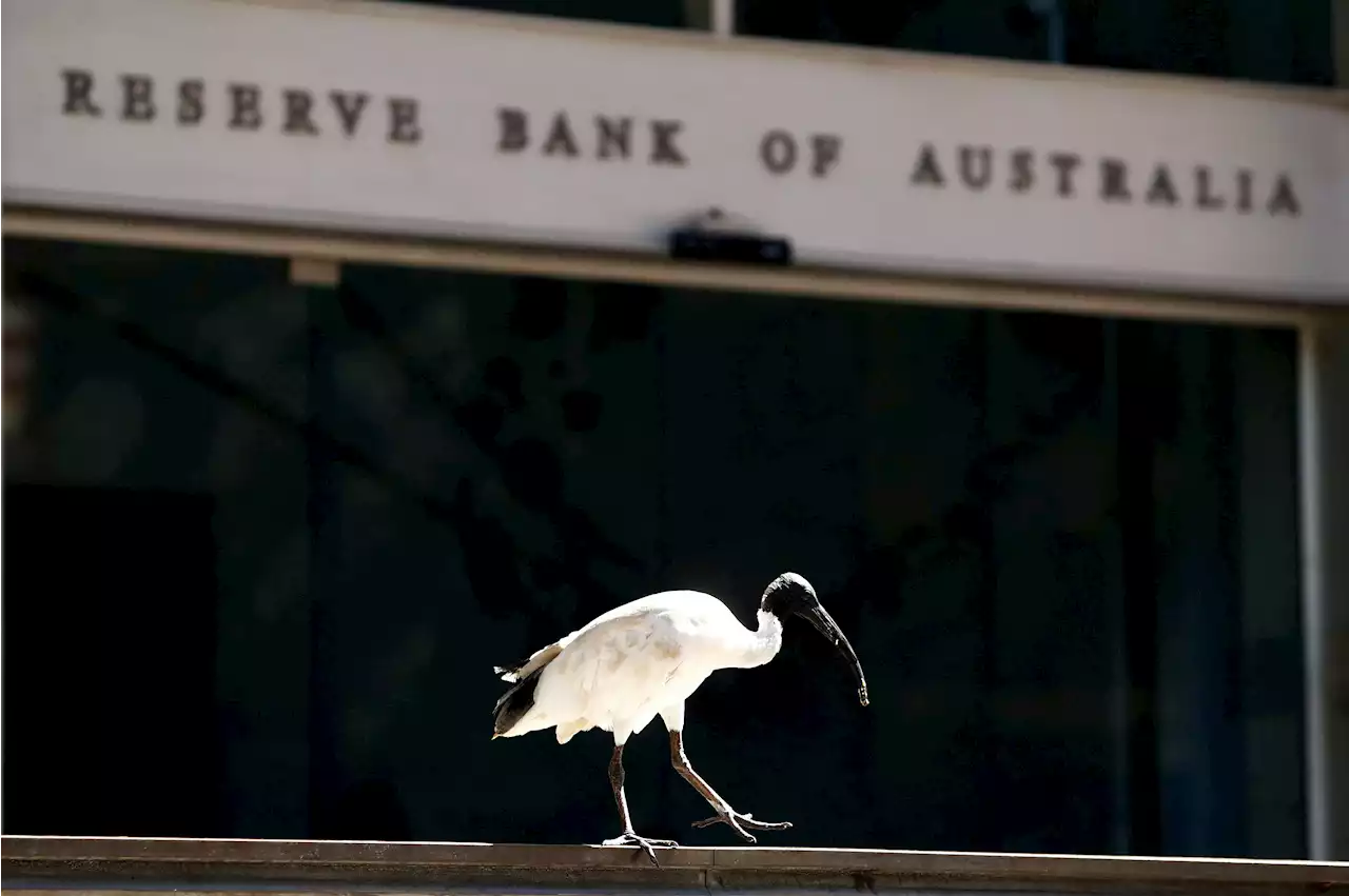 Australia's RBA holds rates steady for 3rd month in Lowe's last meeting