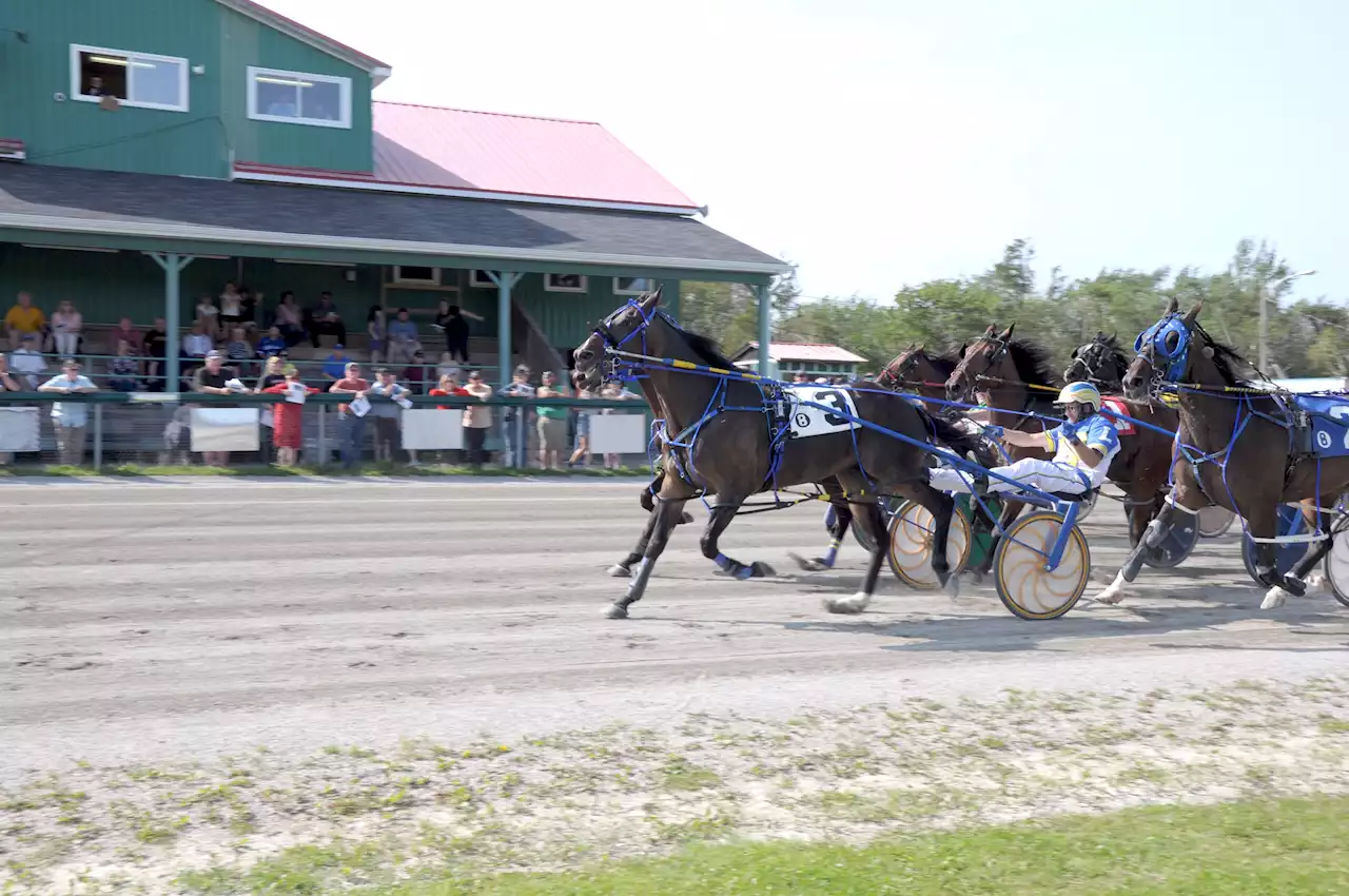 QTS Charlie doubles up in harness racing action at Northside Downs