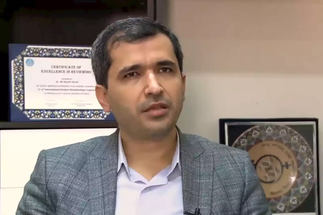 پاسخ شریفی زارچی به واکنش کنایه آمیز عضو شورای اطلاع رسانی دولت/ عکس