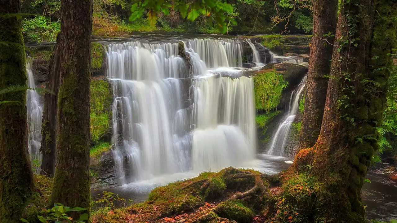 Man, 27, dies after trying to save two children from waterfall in South Wales