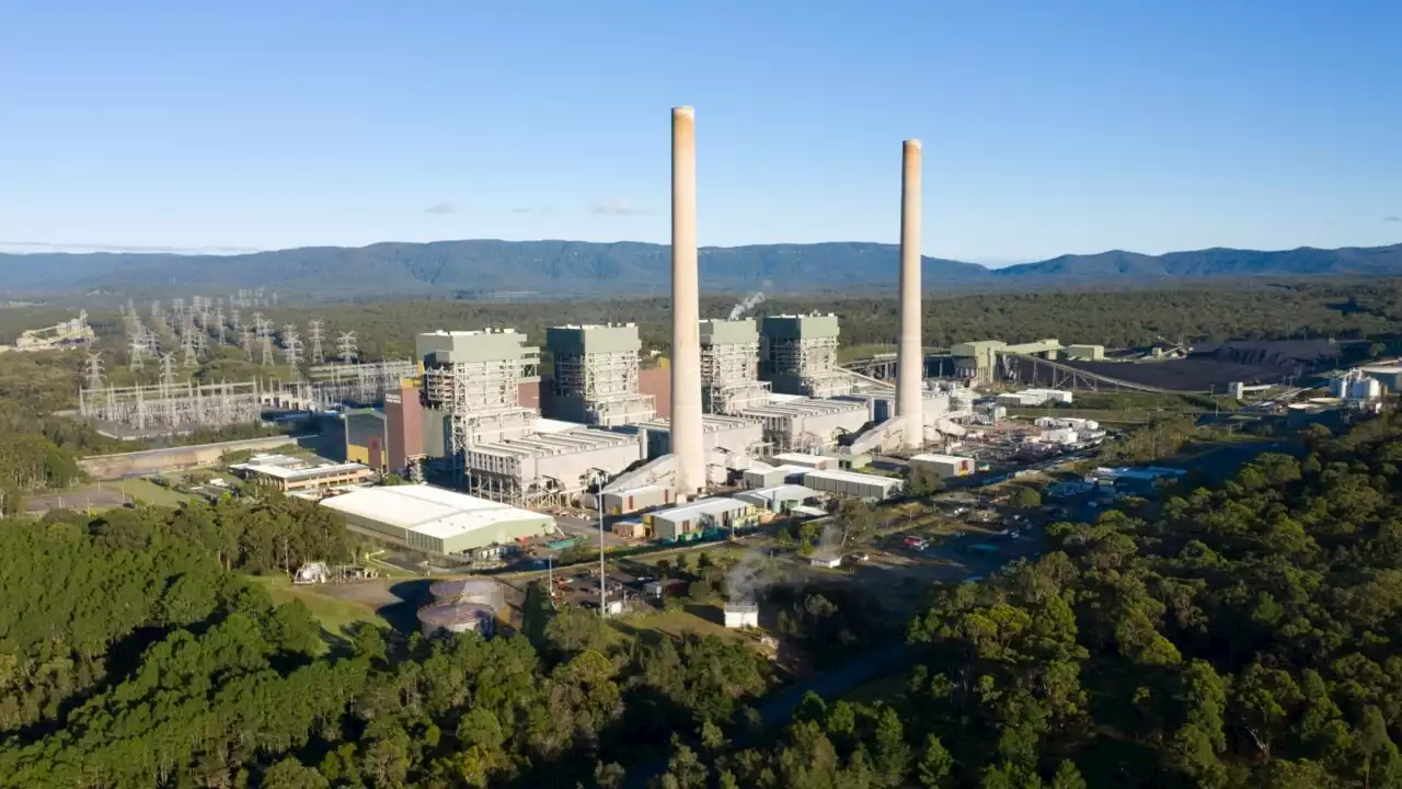 NSW government expected to announce decision on Eraring Power Station