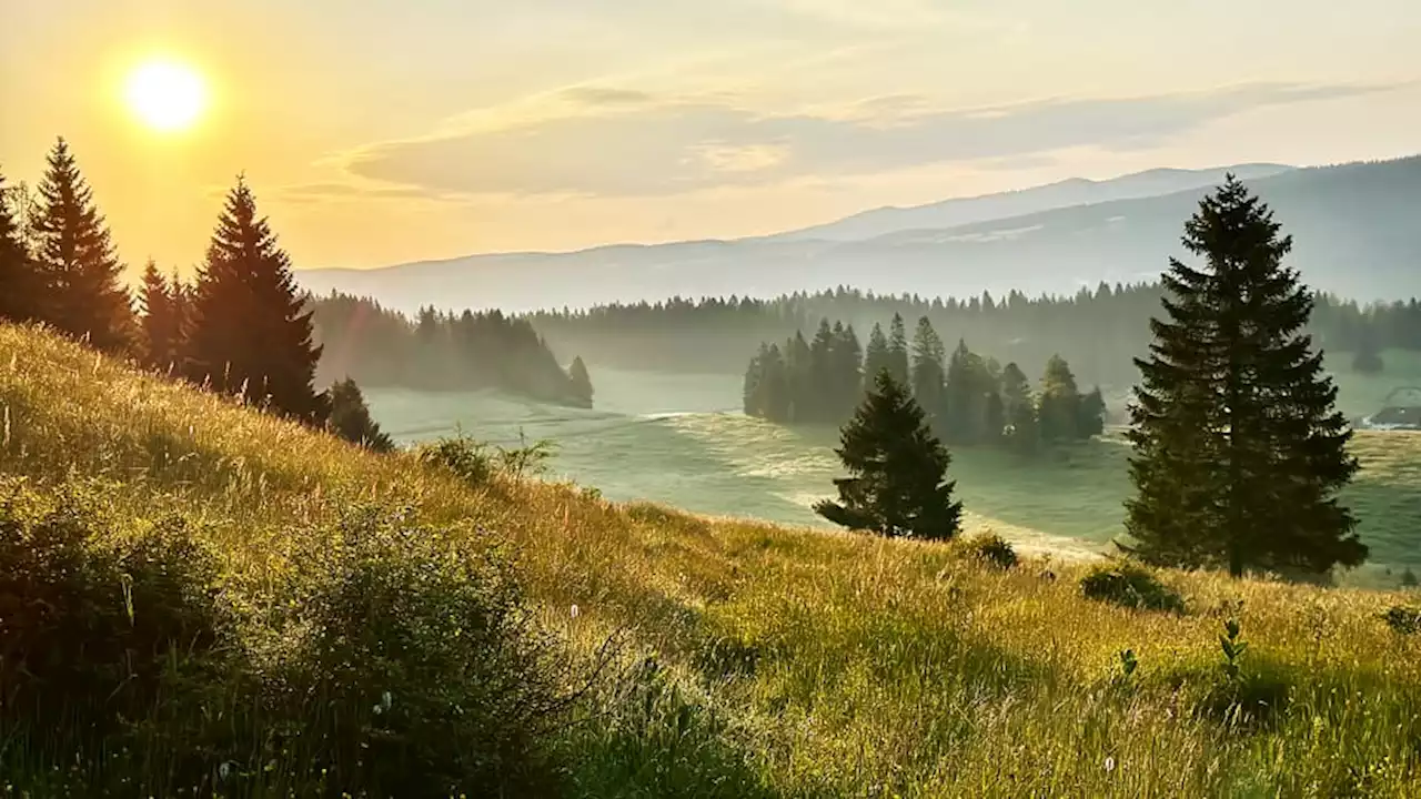 - «Rendez-vous im Park»: Naturpark Jura vaudois