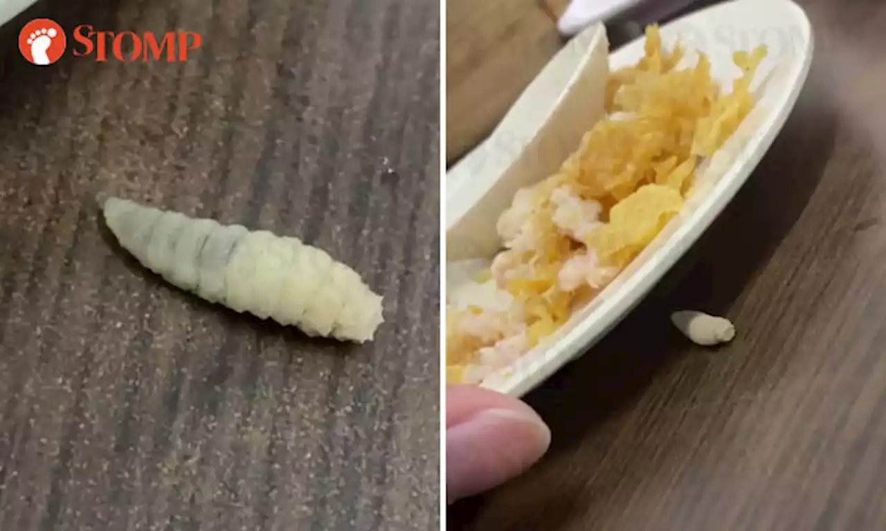 Diner 'wants to puke' after live larvae falls from ceiling of dim sum restaurant and onto his table