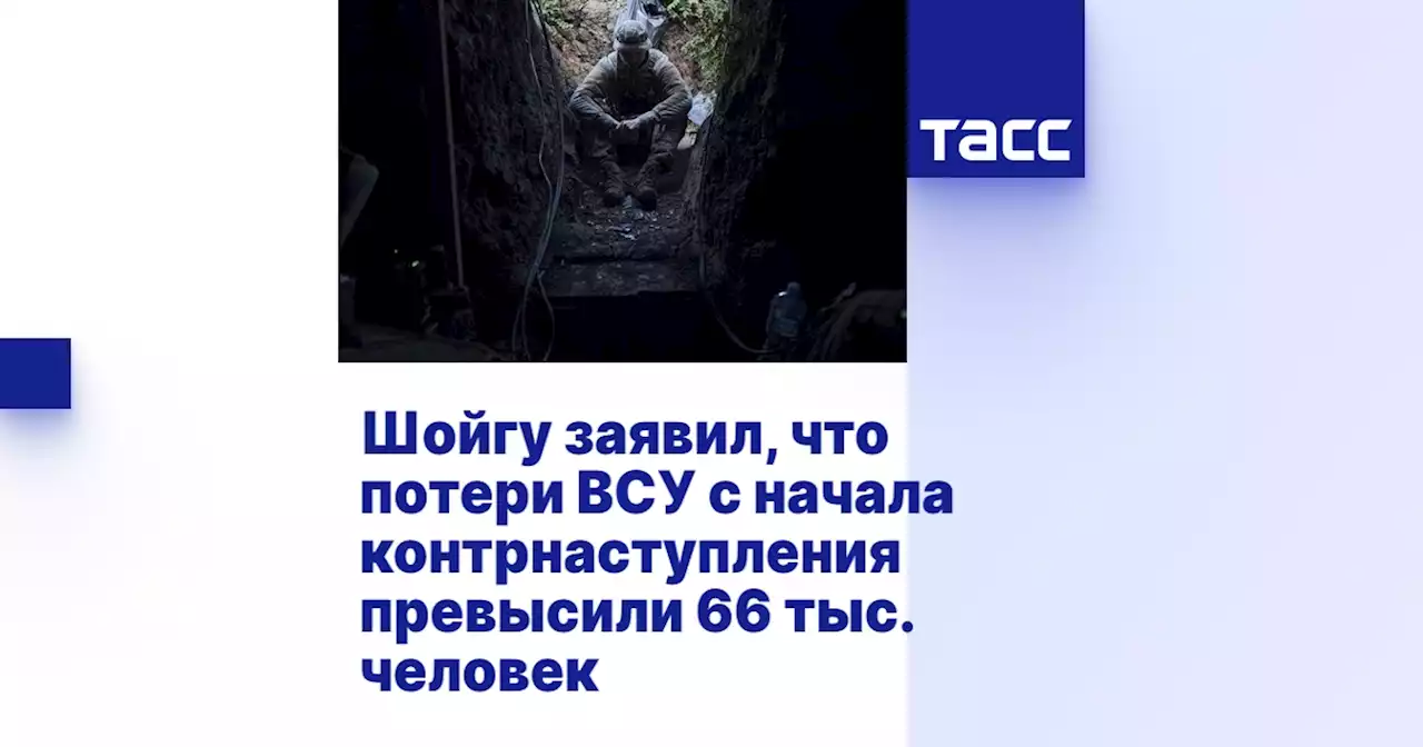 Шойгу заявил, что потери ВСУ с начала контрнаступления превысили 66 тыс. человек