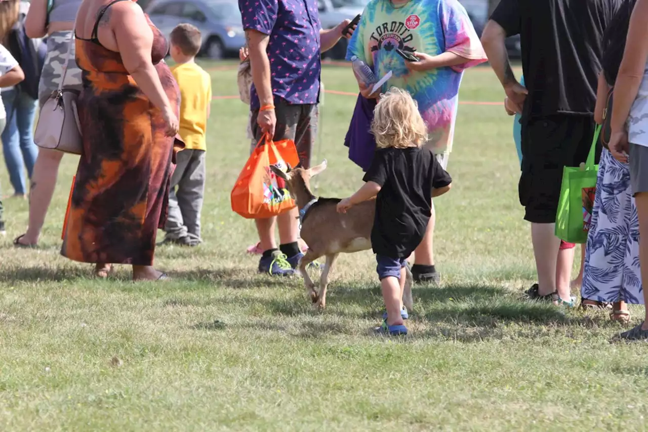 Labour Day Picnic takes over Current River Park