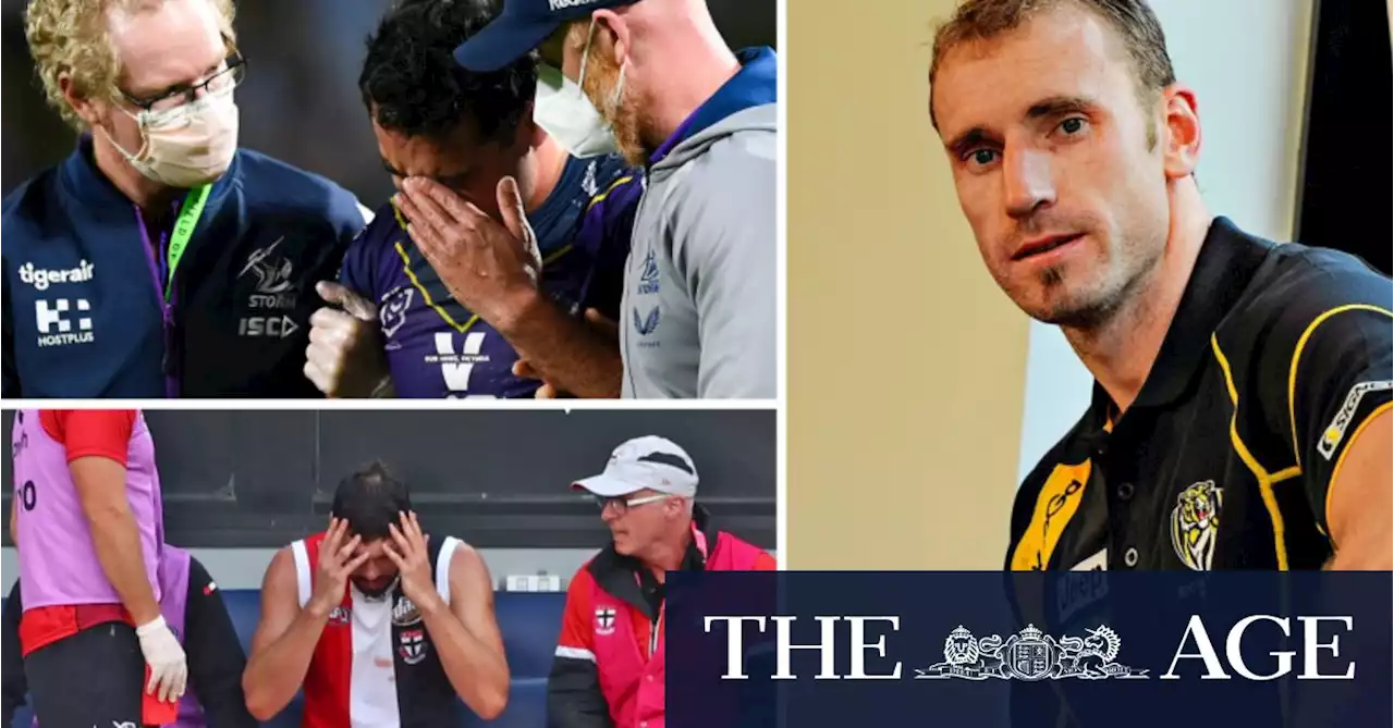 Government should consider enforcing return to play protocols, Senate concussion inquiry finds