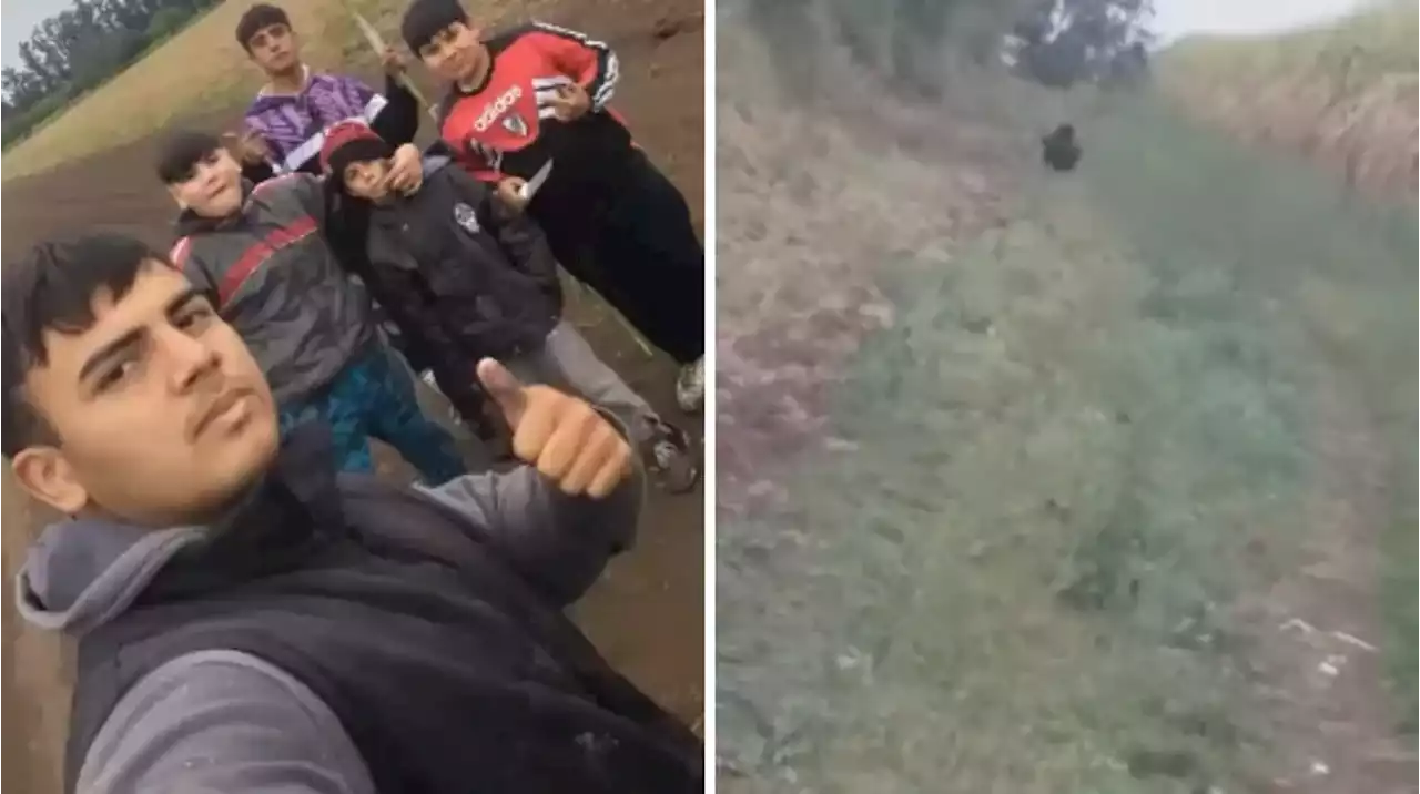 Video: un grupo de chicos caminaba por un descampado y una extraña criatura los aterrorizó