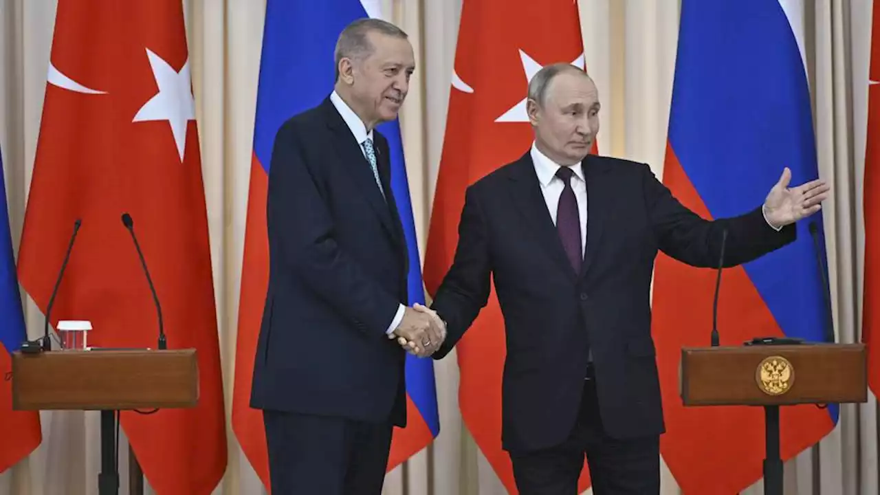 Putin presents Türkiye's Erdogan with documentary film on his life