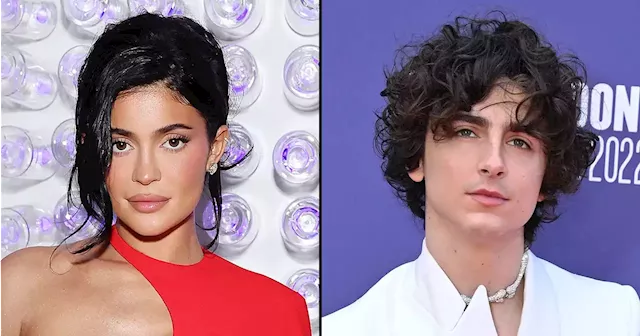 Timothée Chalamet and Kylie Jenner Go Public at Beyoncé Show