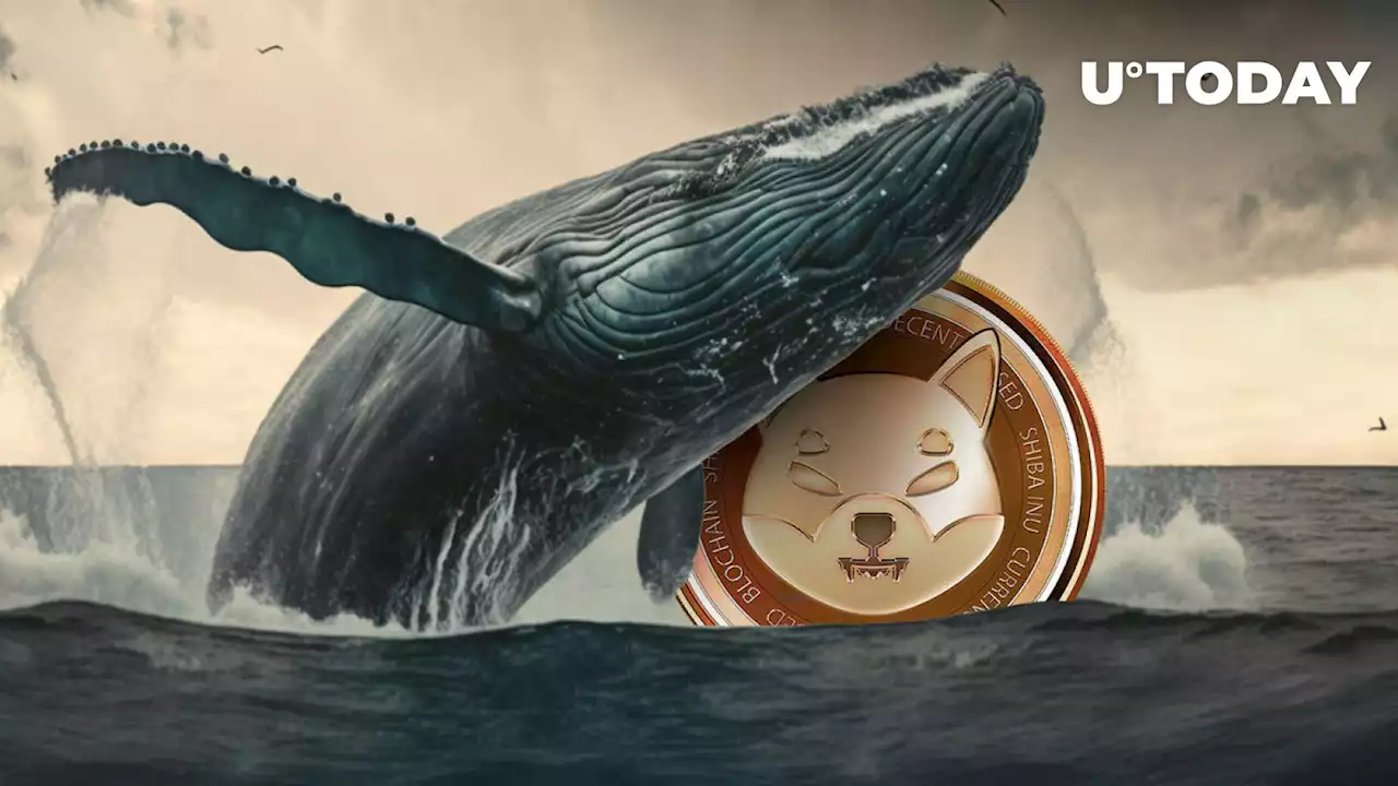 Shiba Inu (SHIB) Sees 2,180% Spike in Whale Transactions, What's Going On?