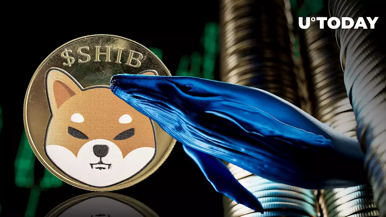 Shiba Inu Whales Just Grabbed $100 Million — Is Moonshot Imminent?