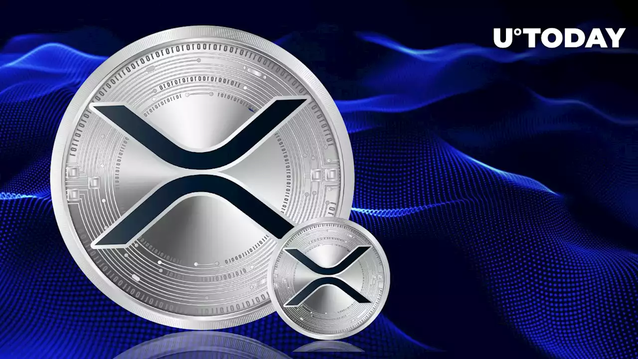 XRP: Xahau Initial Distribution Allocates 600 Million XRP, Here's What to Know