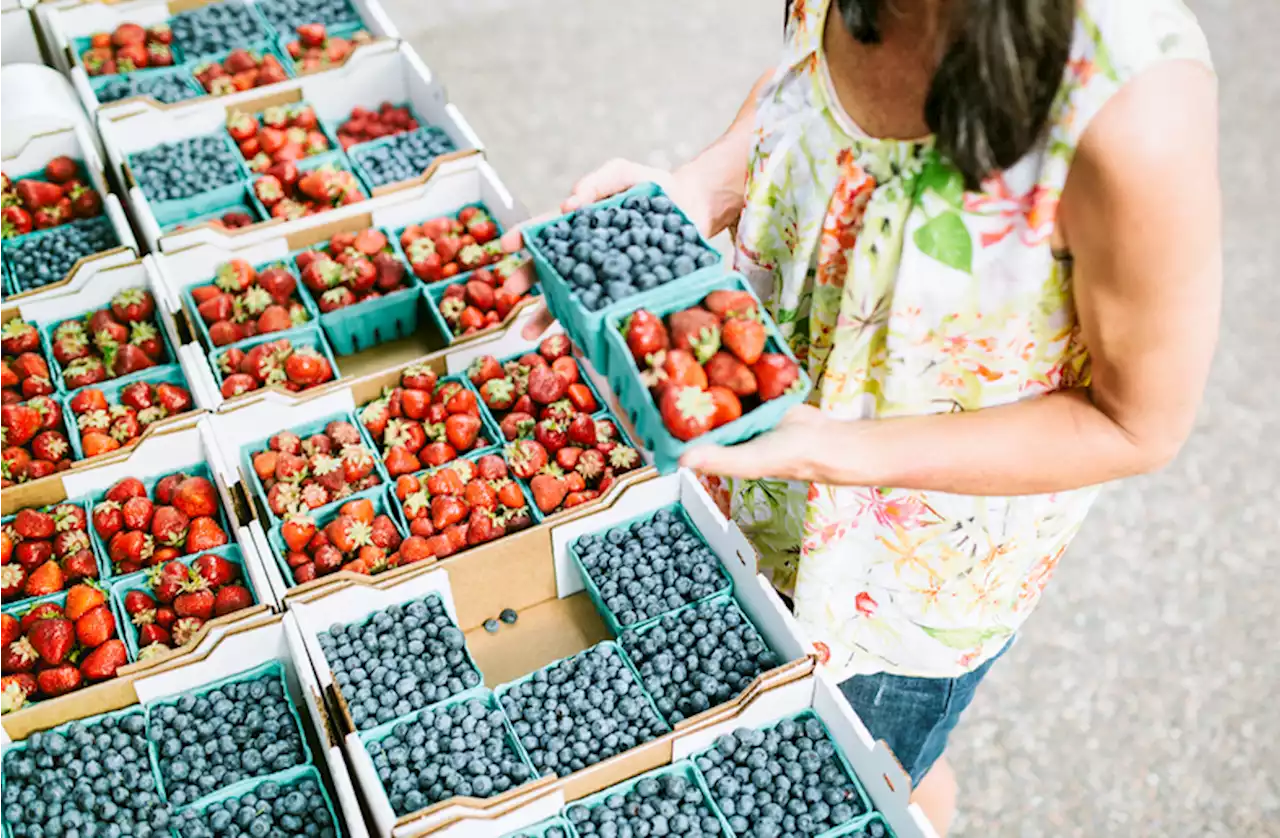 Prescriptions for fresh fruits and vegetables help boost heart health