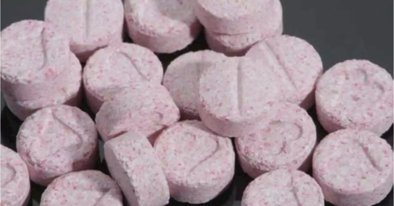 Victorian coroner calls for pill testing at music festivals