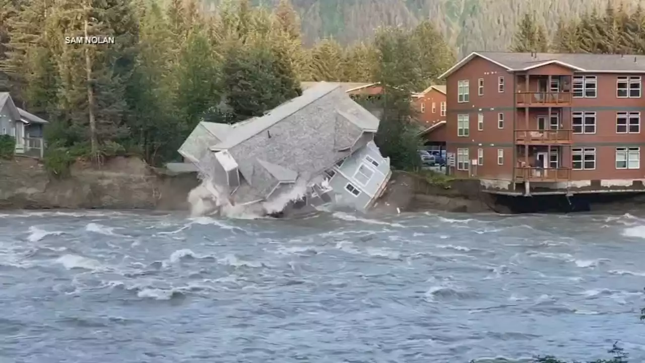 Couple reunites with cat 26 days after a video of their house collapsing into a river goes viral