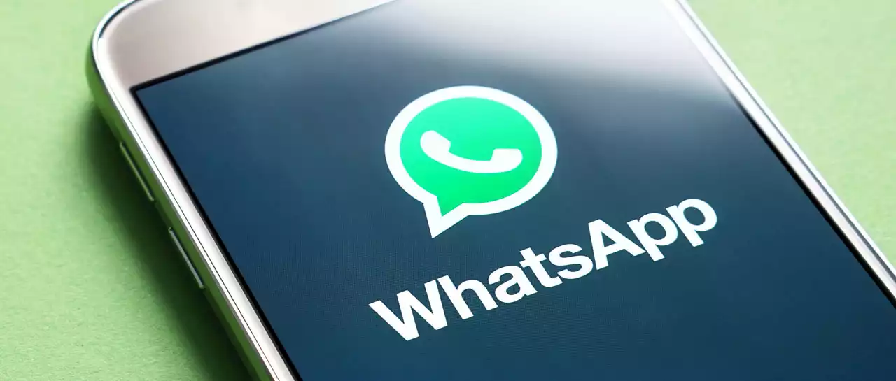 WhatsApp permite deshabilitar molesta función