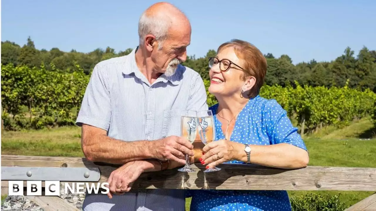 Dorking woman prompted by spiders to buy winning lottery ticket