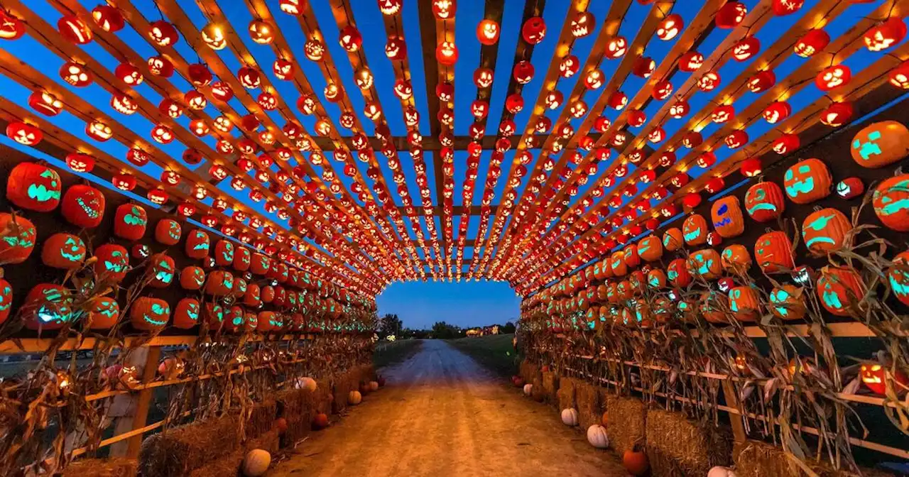 Ontario is getting a tunnel with thousands of glowing pumpkins this fall