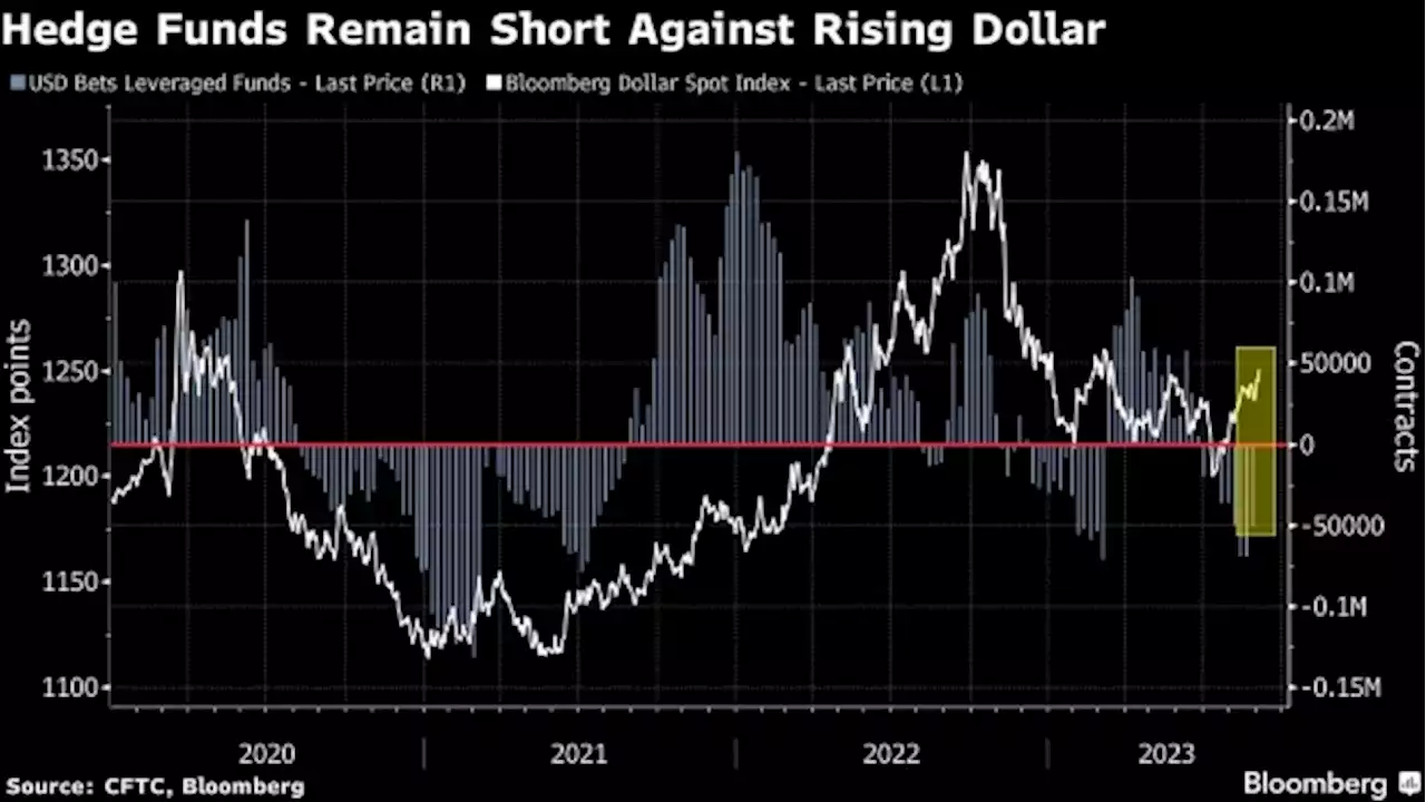 Hedge Funds Say It’s Too Risky to Short Dollar on US Rates Hazard