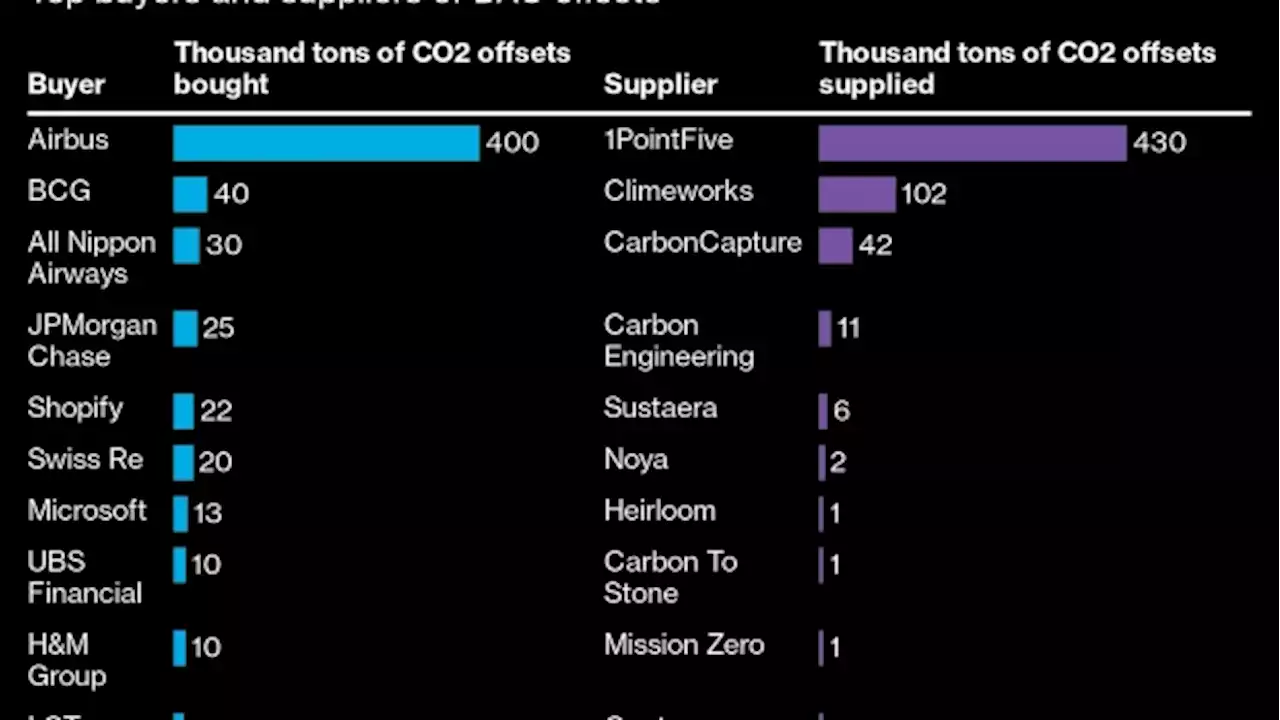 Morgan Stanley Says a ‘Reckoning’ Is Gripping CO2 Offsets Market